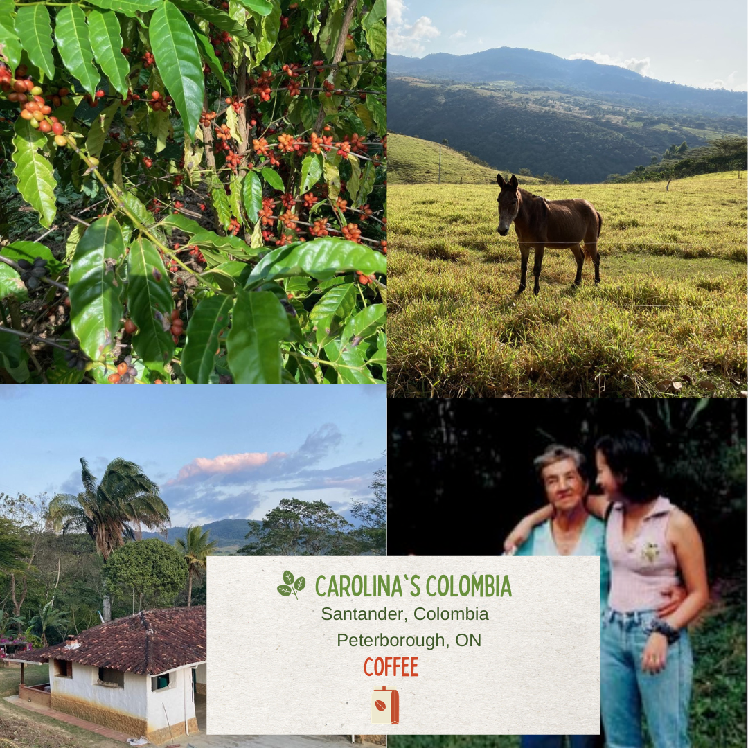 Carolina's Colombia