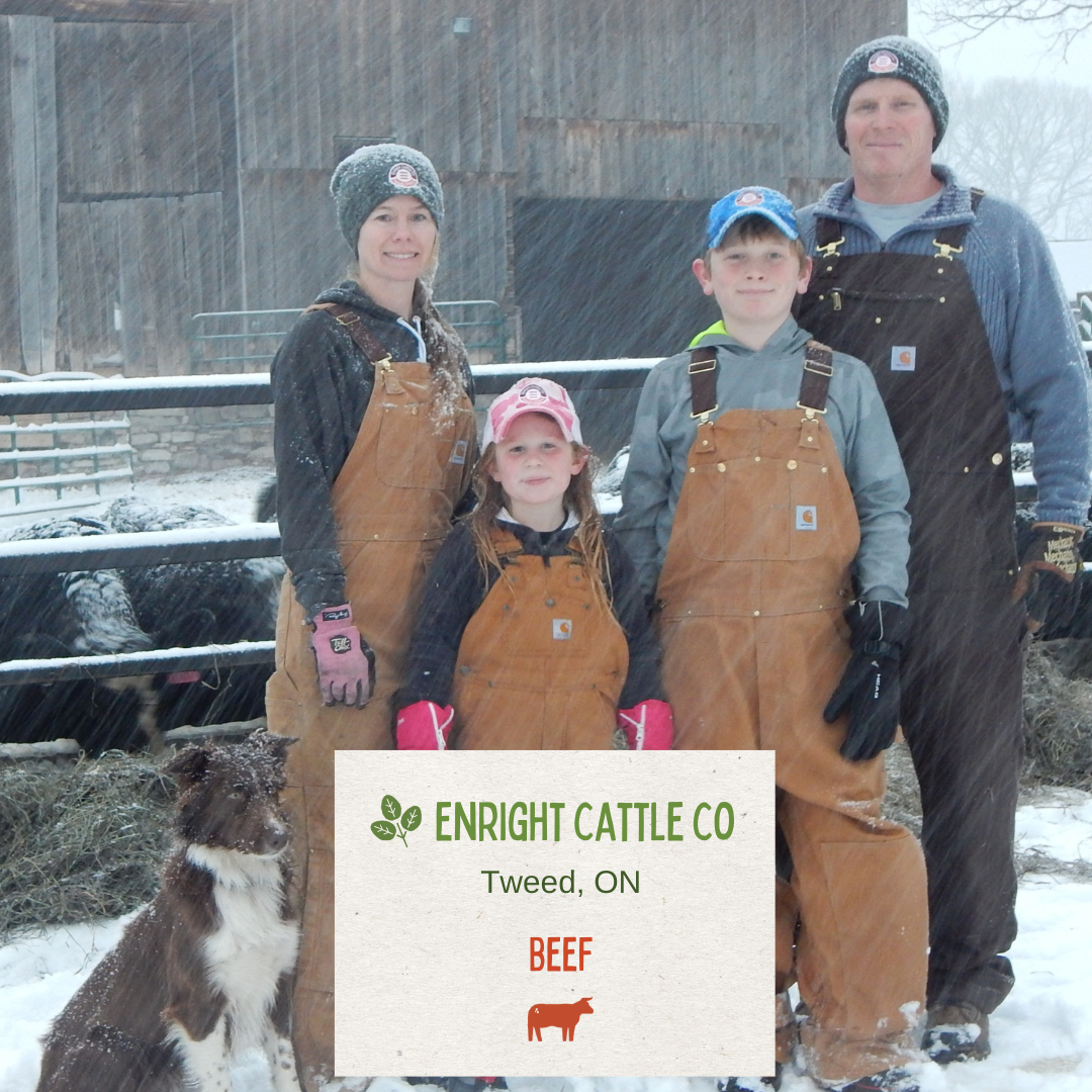Enright Cattle Company