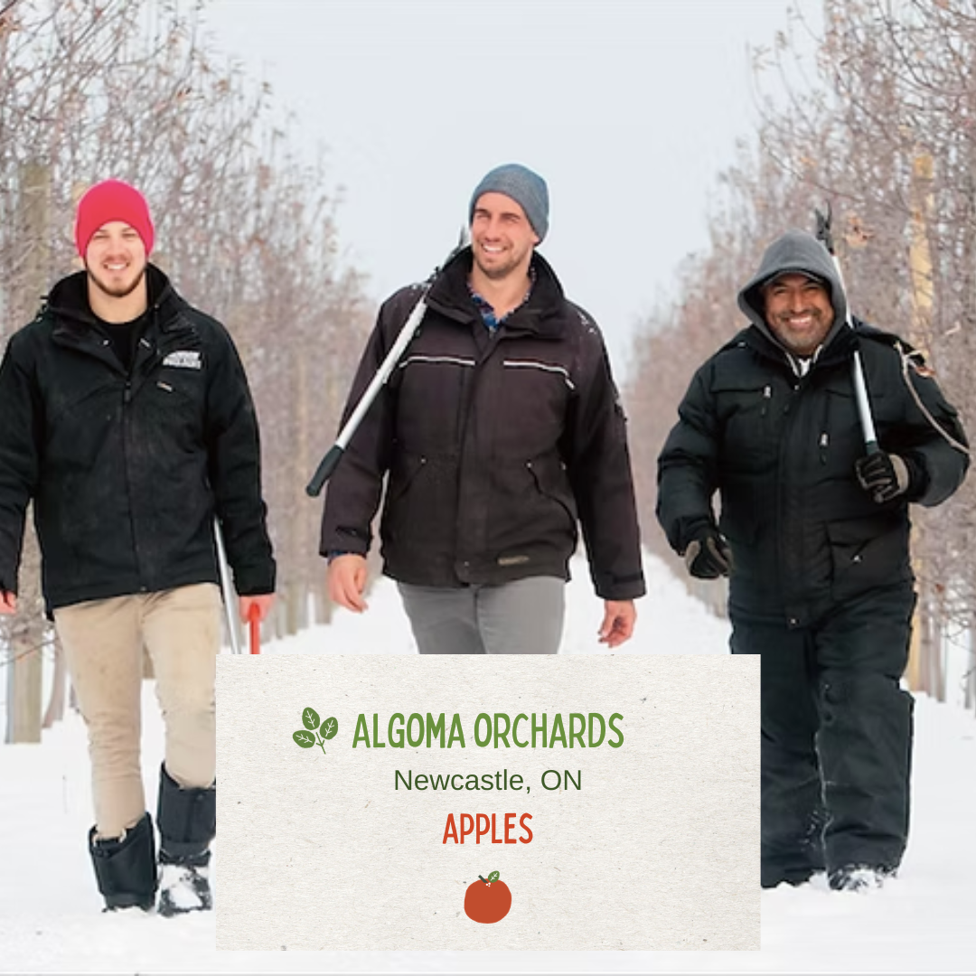 Algoma Orchards