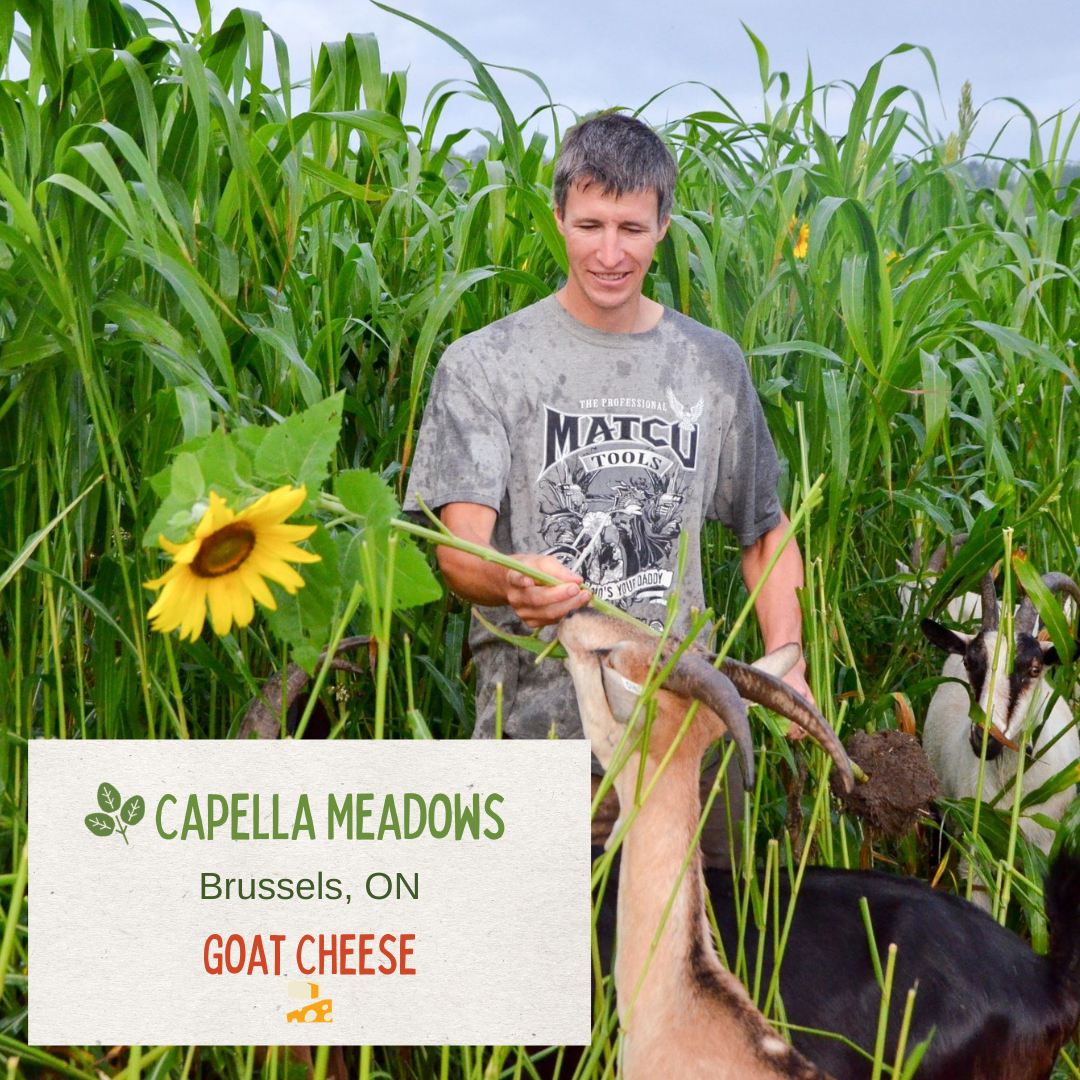 Capella Meadows
