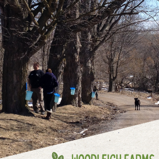 Woodleigh Farms