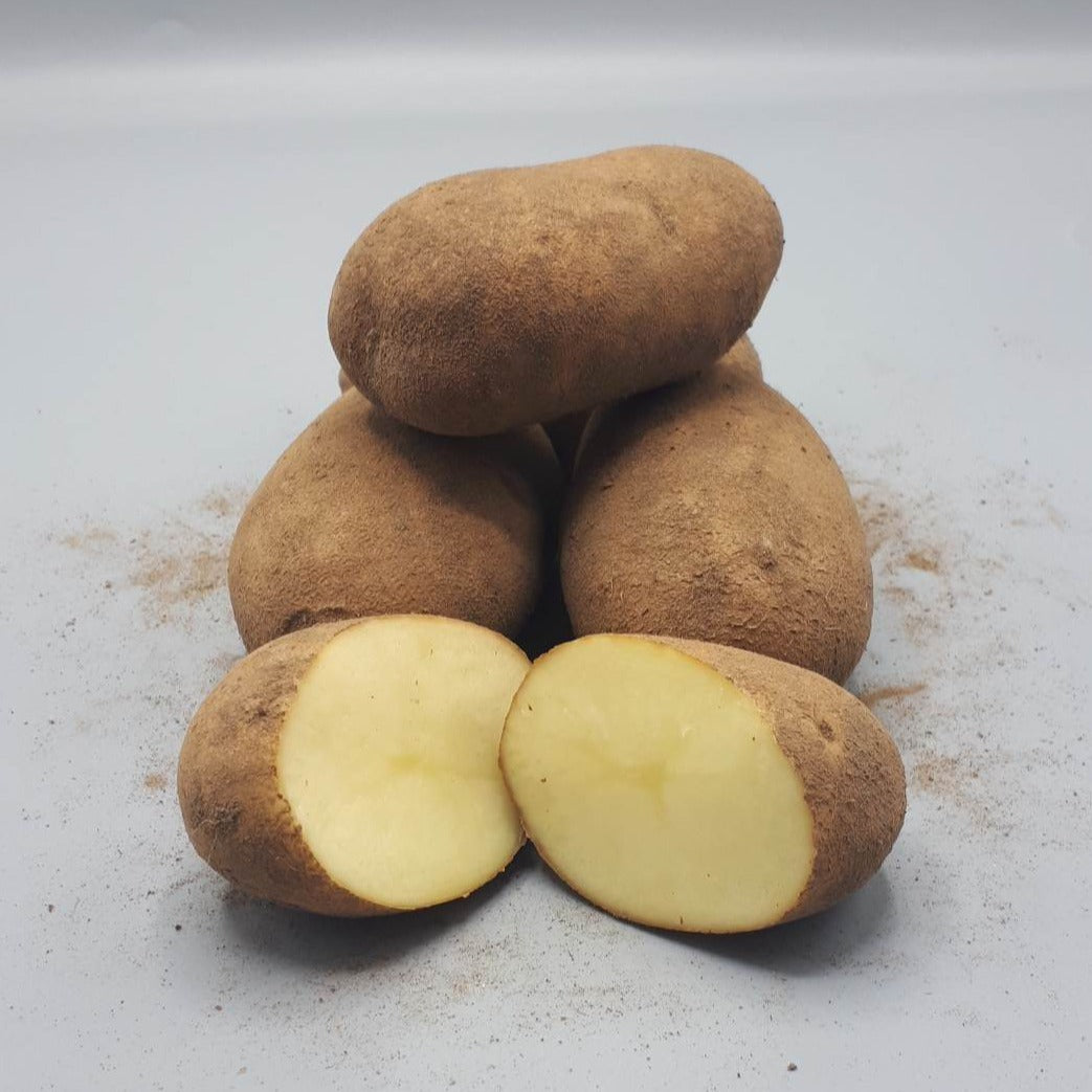 Potatoes, Campagna (BULK PRE-ORDER)