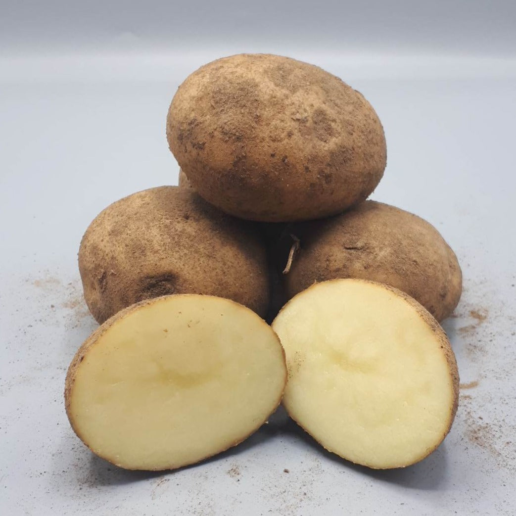 Potatoes, Eva (BULK PRE-ORDER)