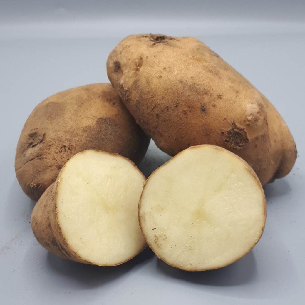 Potatoes, Shepody (BULK PRE-ORDER)