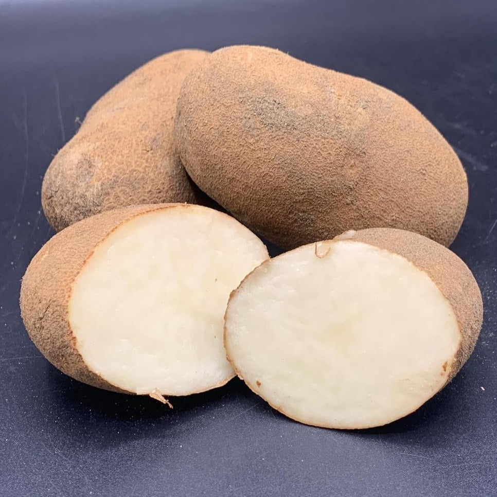 Potatoes, Goldrush (BULK PRE-ORDER)