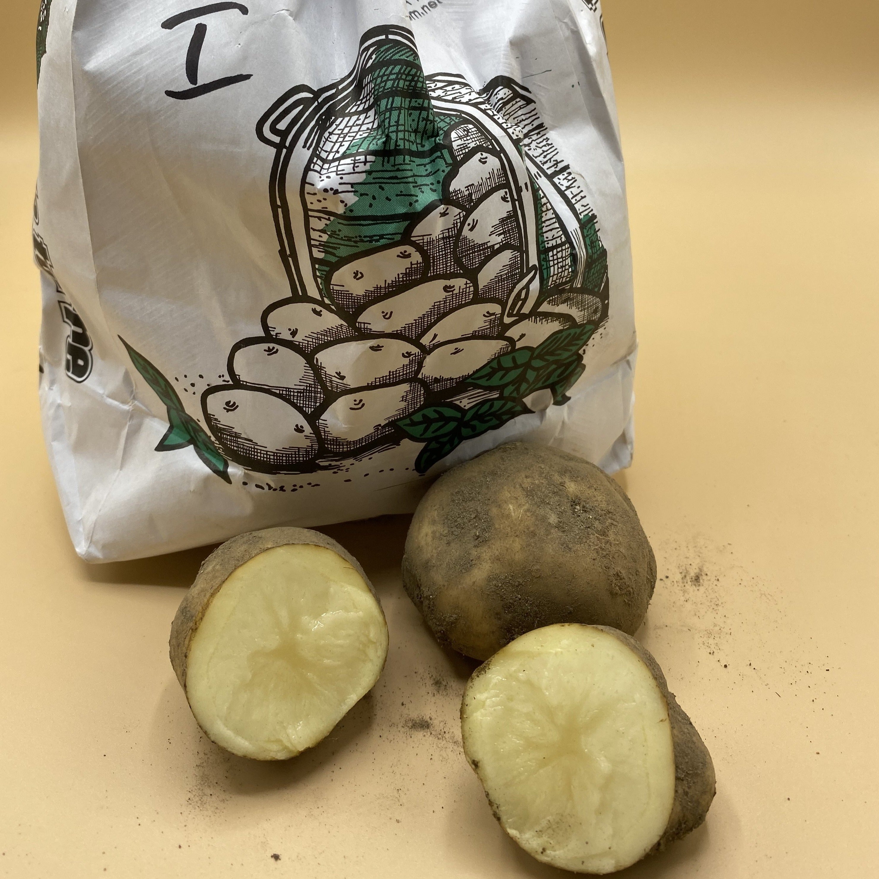 Potatoes, Irish Cobbler (BULK PRE-ORDER)