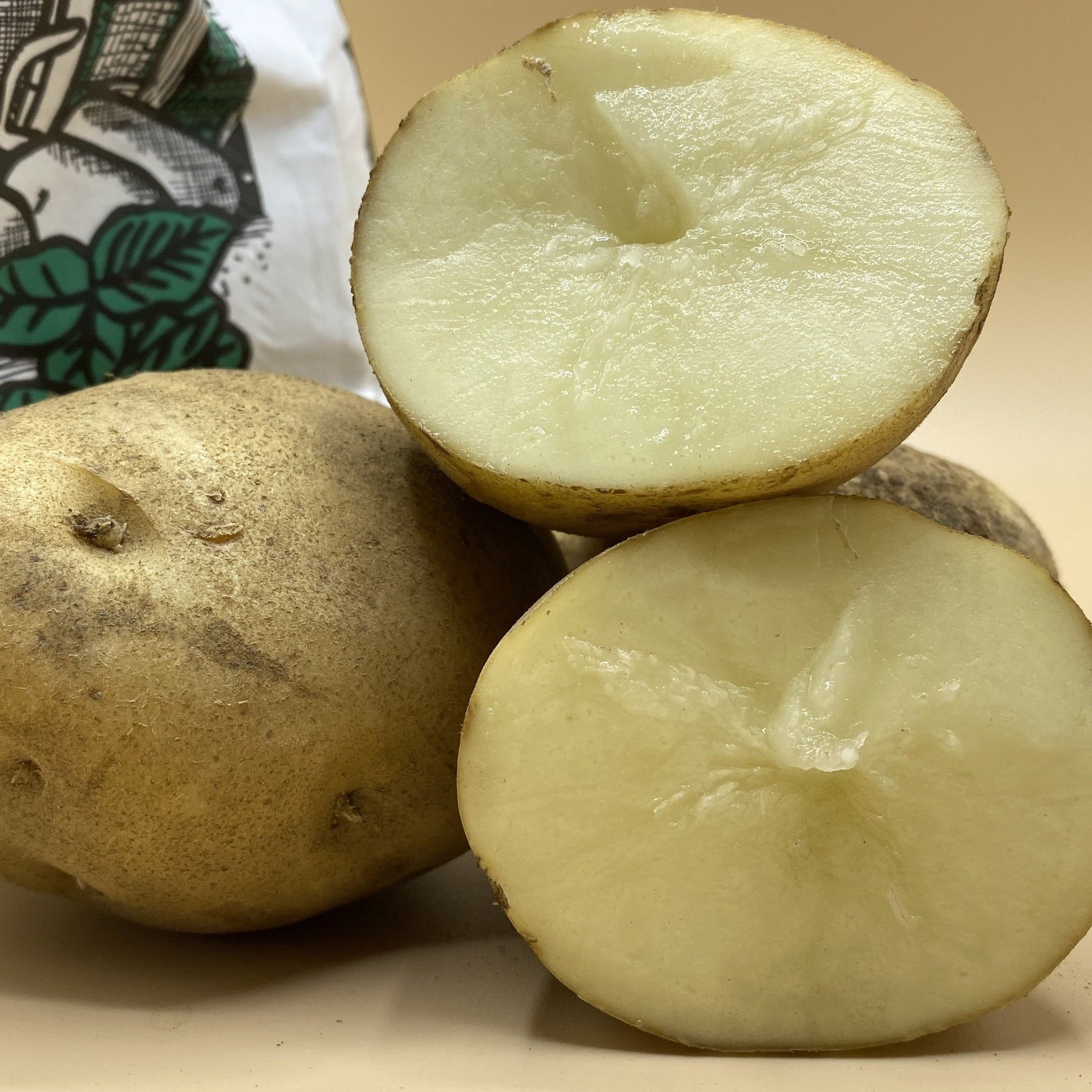 Potatoes, Reba (BULK PRE-ORDER)