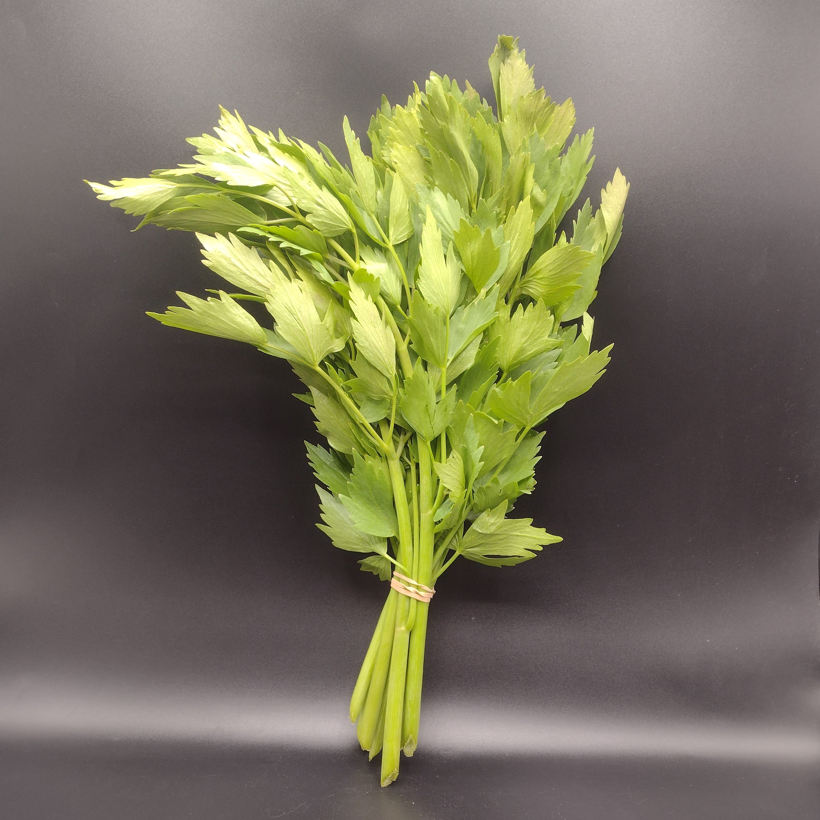 Lovage (bunch)