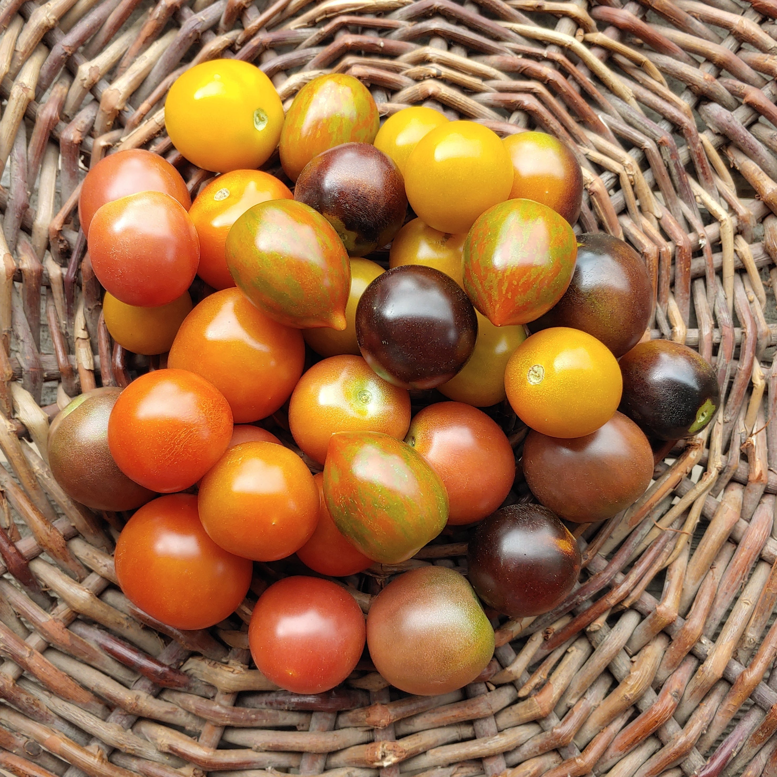 cherry tomatoes