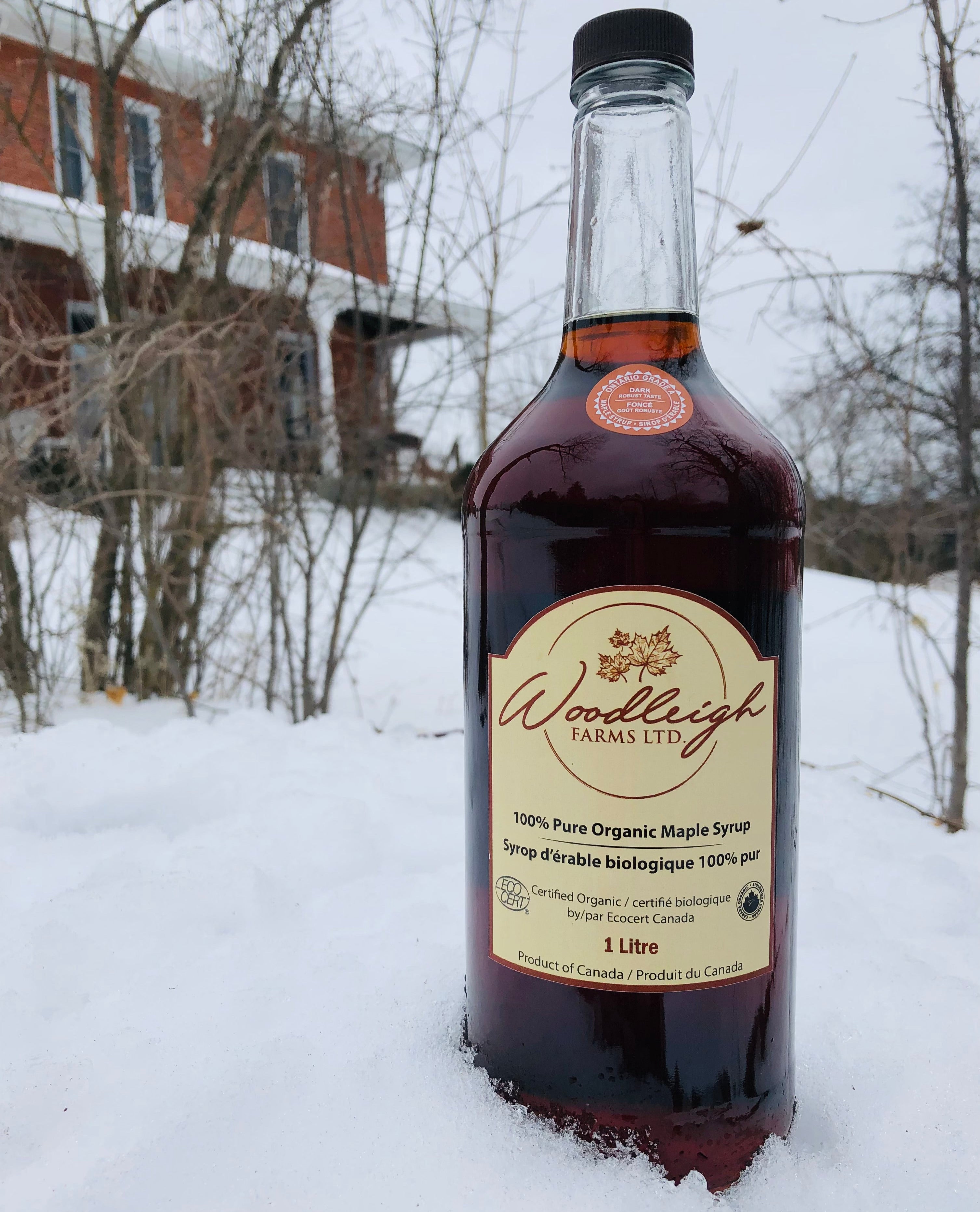 1L bottle of dark maple syrup in the snow