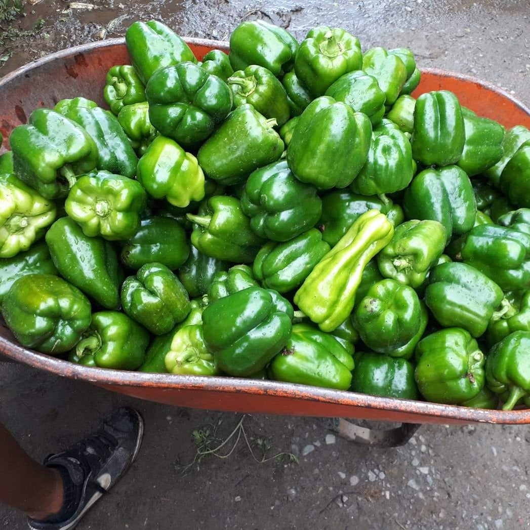Green Peppers
