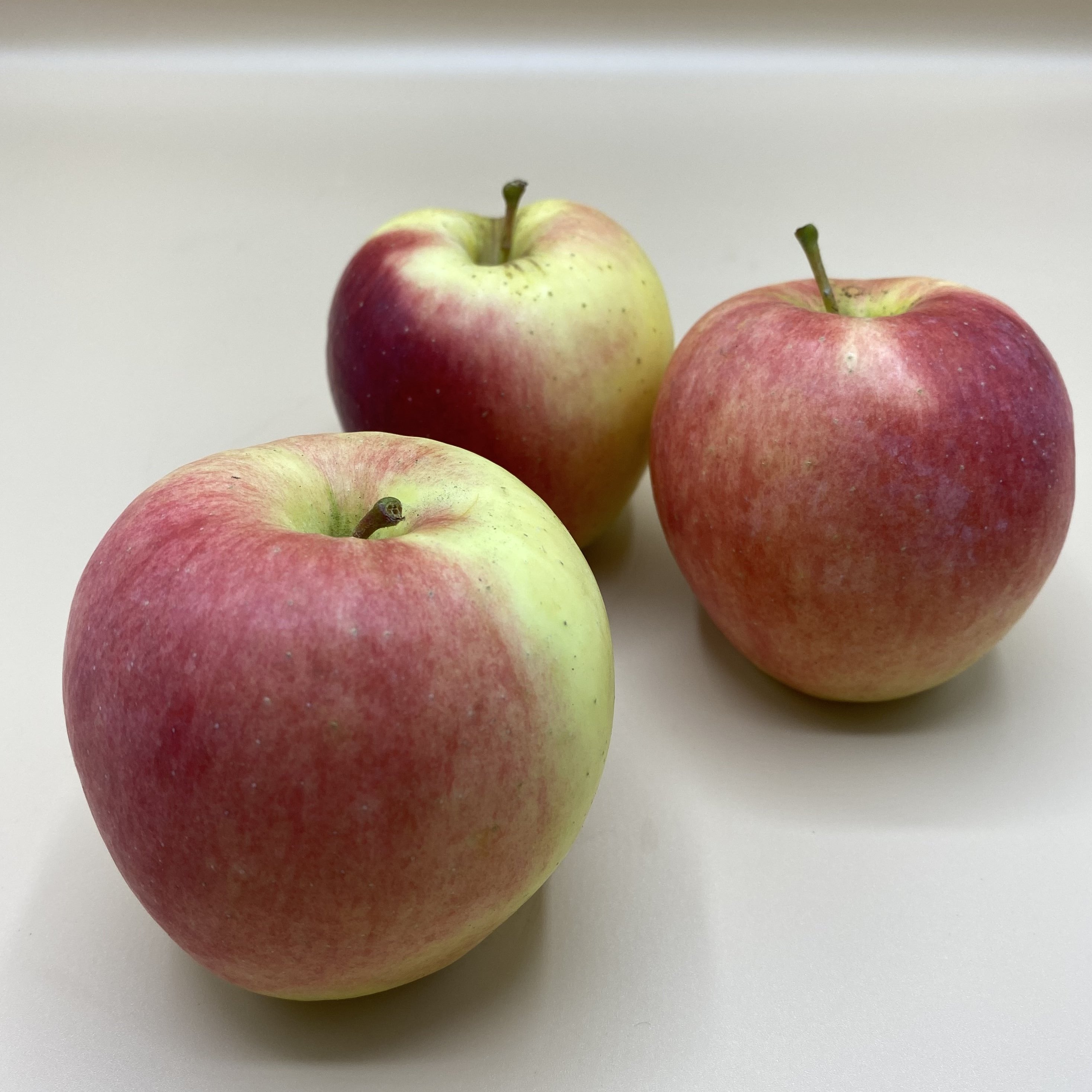 1lb of Ambrosia apples