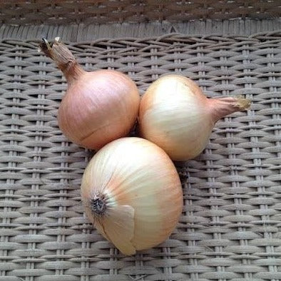 Yellow Onions