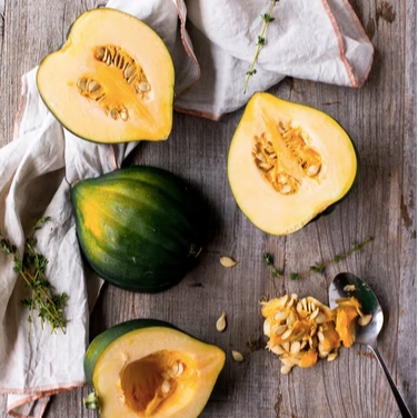 Acorn Squash