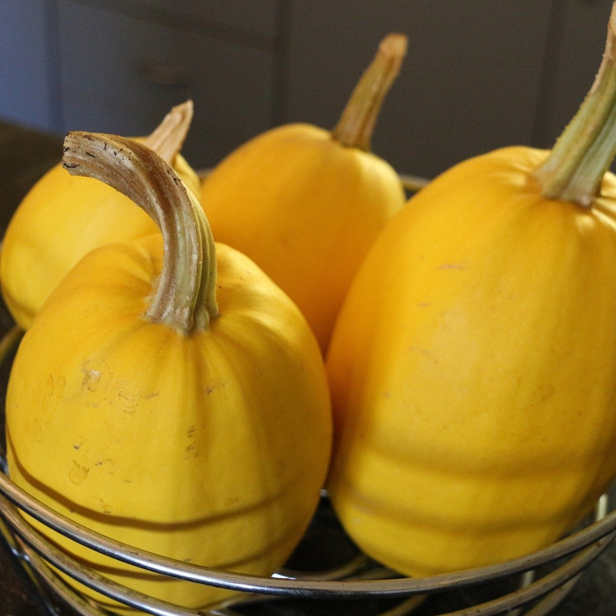 Spaghetti Squash