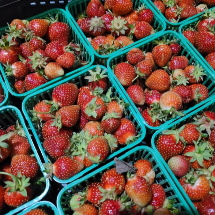 crate with litres of strawberries