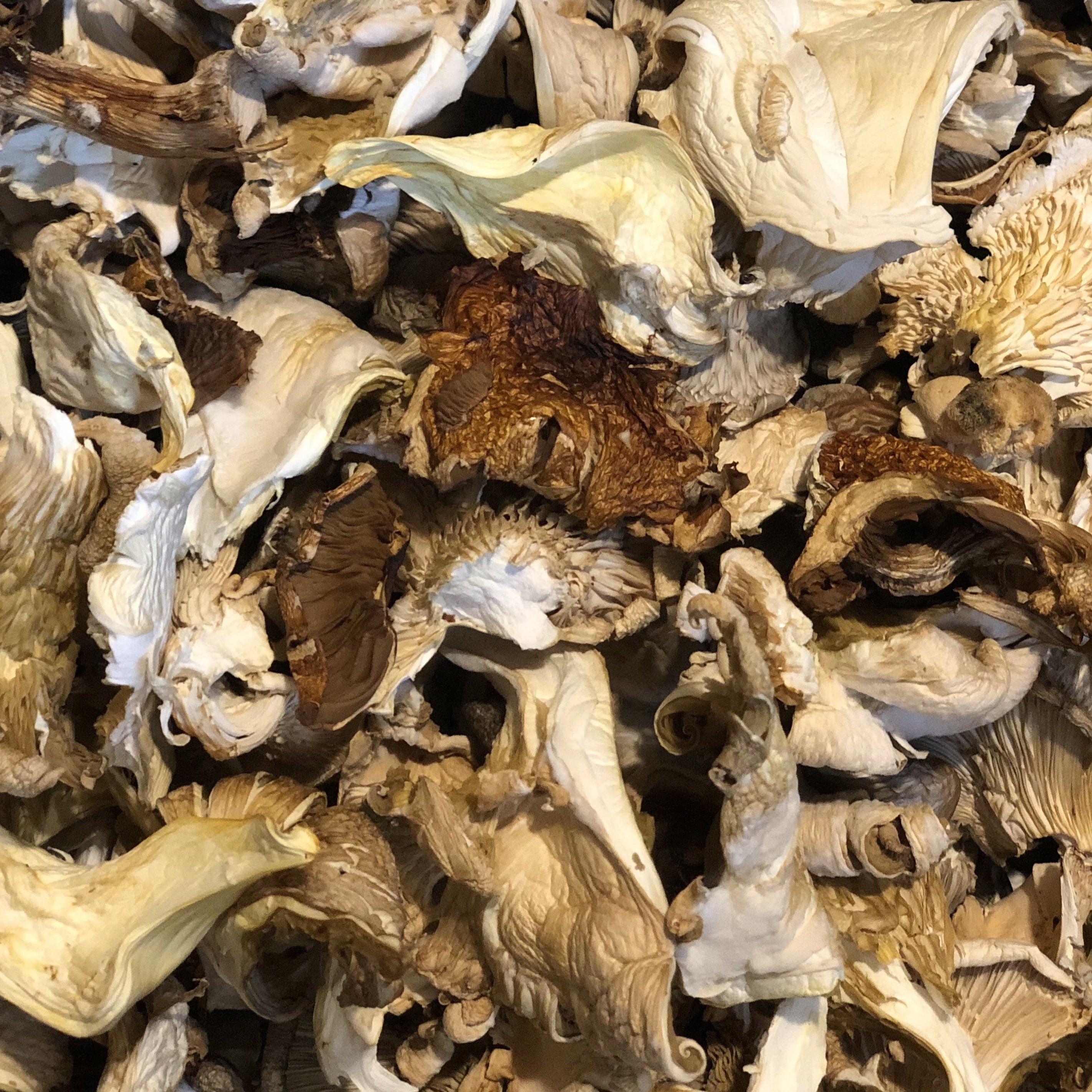 Mushrooms, Dried Forest Medley (approx 40g)