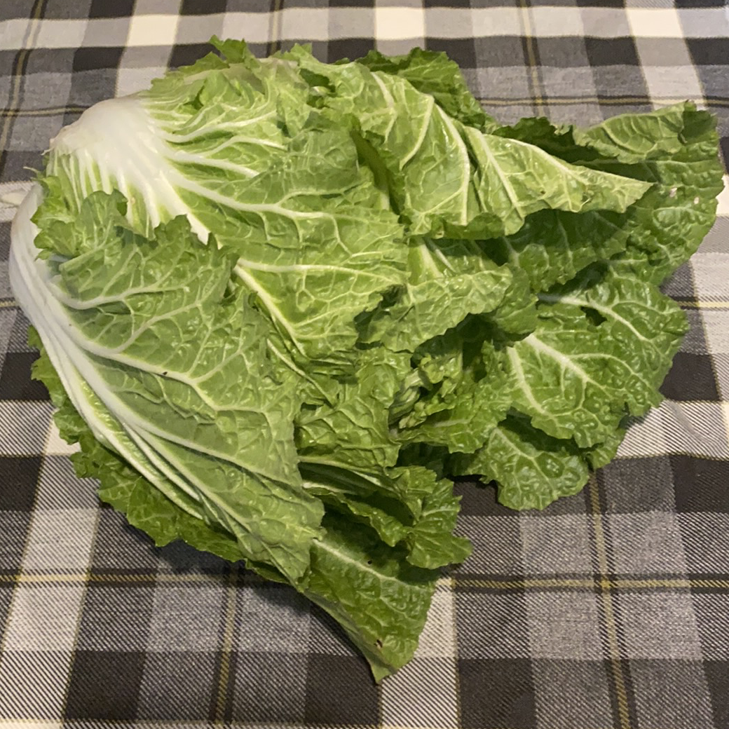 One napa cabbage.