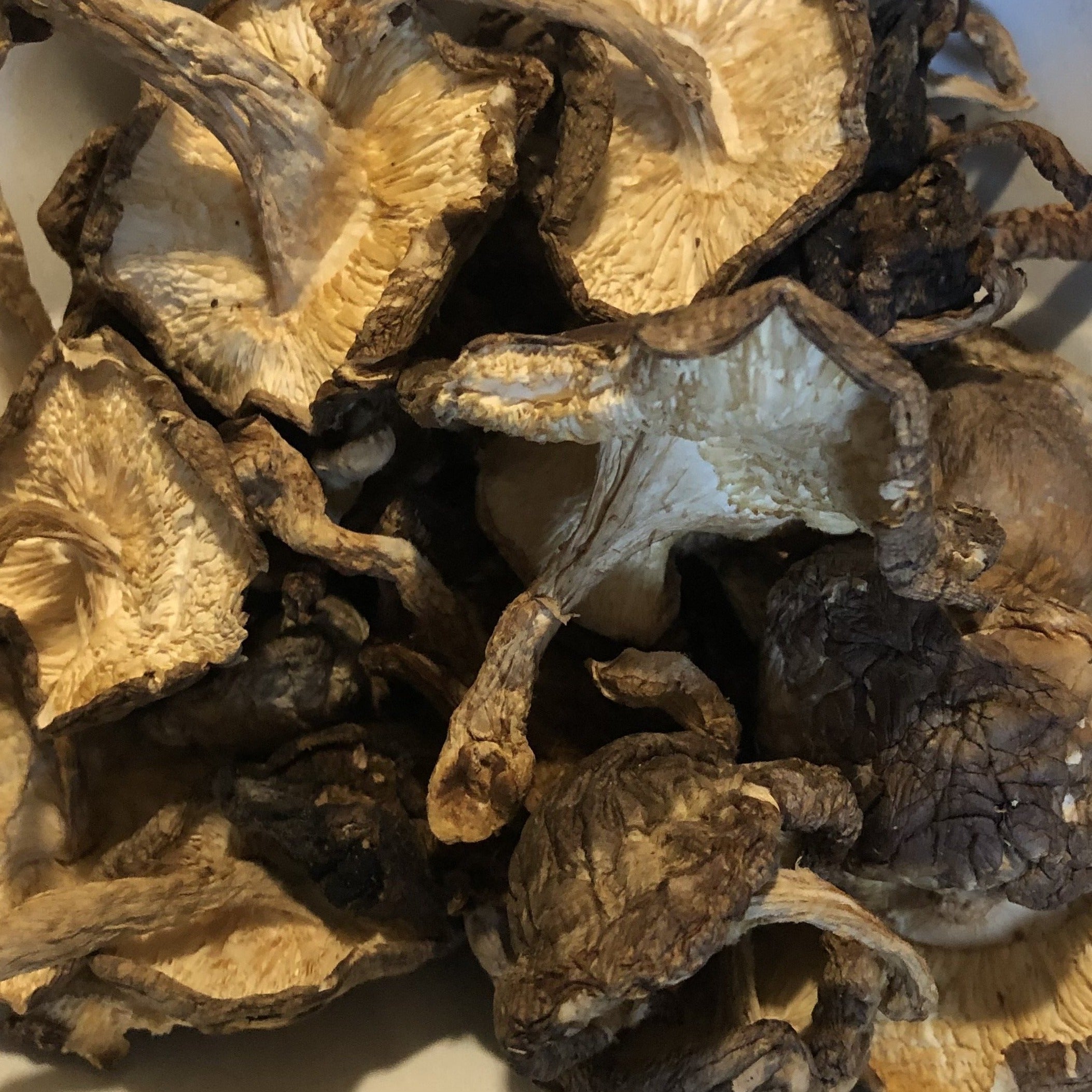 Mushrooms, Dried Shiitake (approx 40g)
