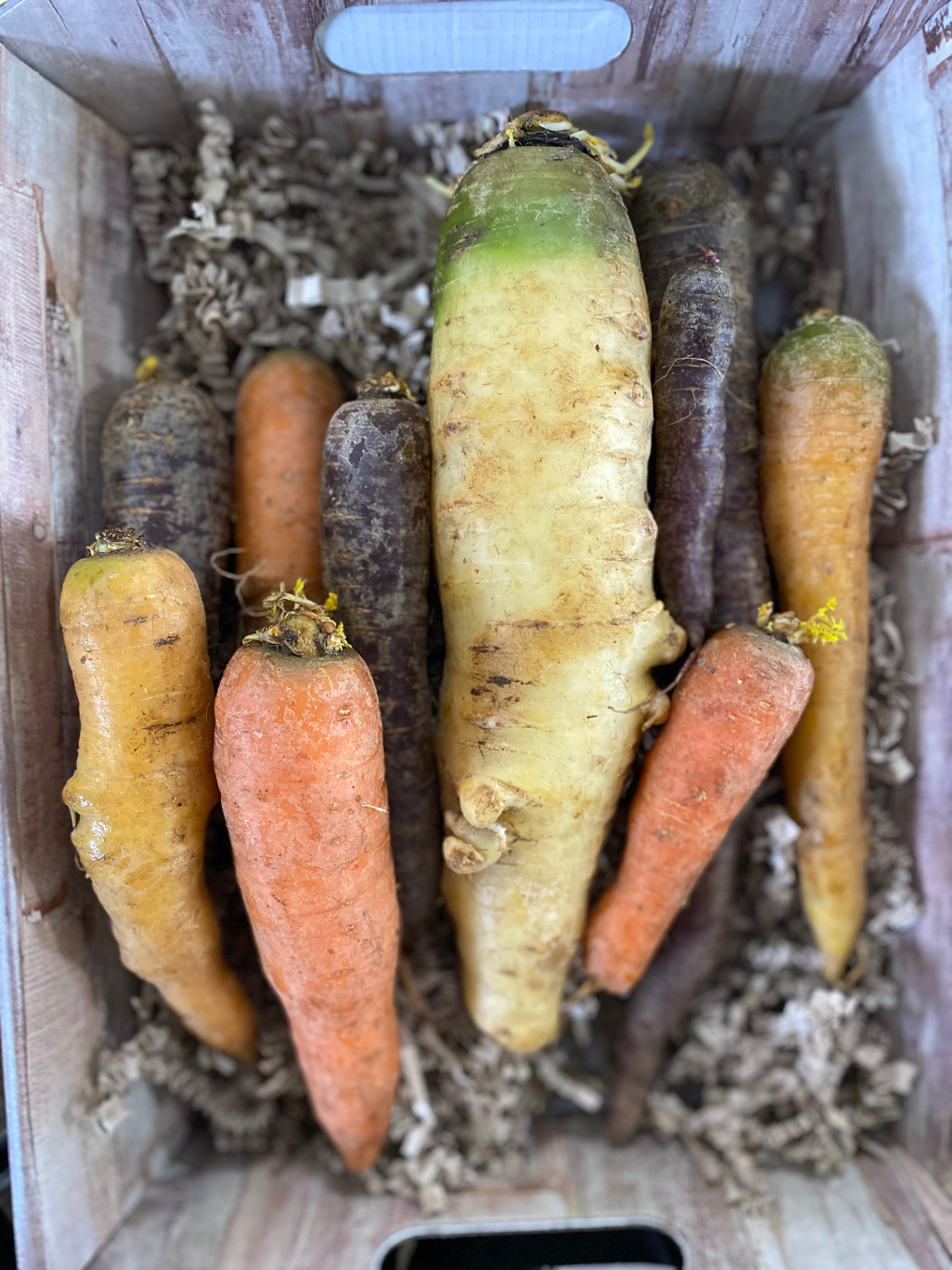 Carrots, Organic Rainbow Mix