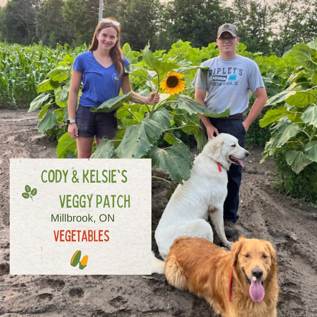 Cody & Kelsie's Veggy Patch