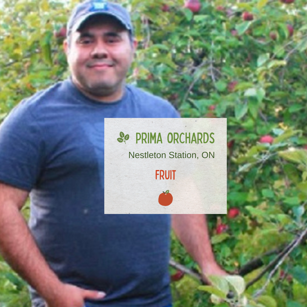 Prima Orchard