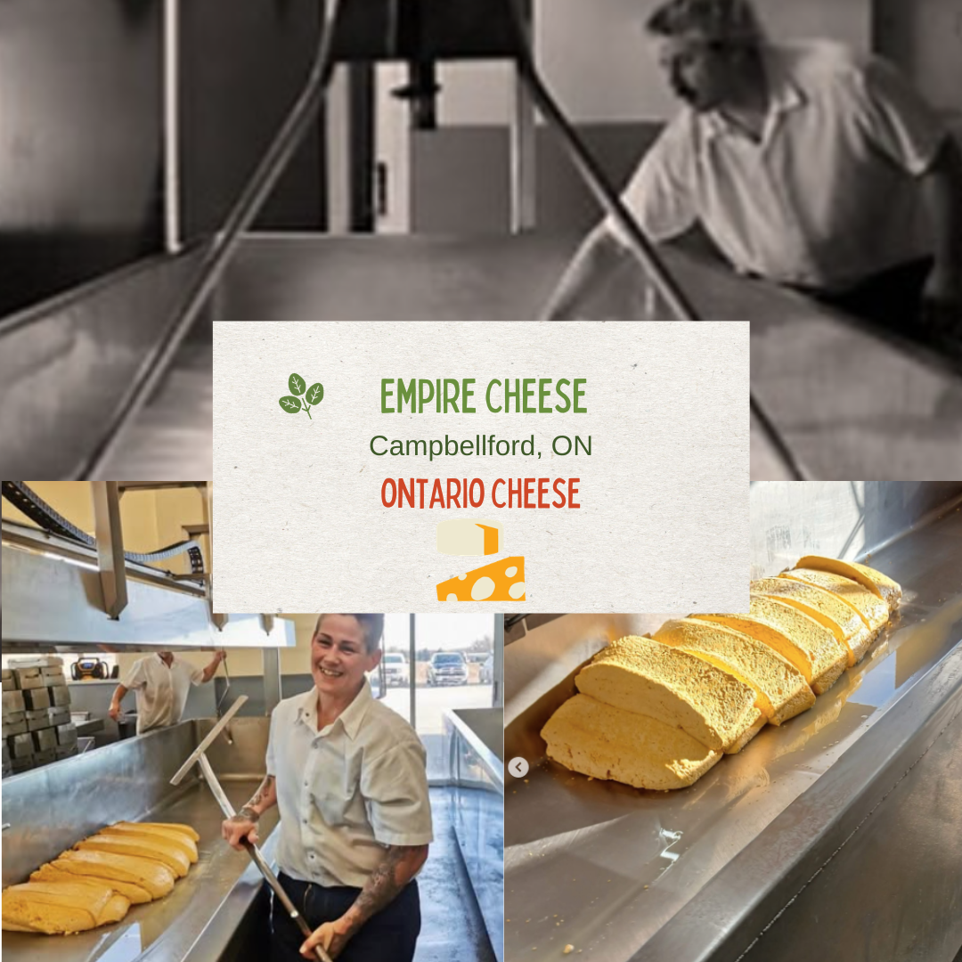 Empire Cheese