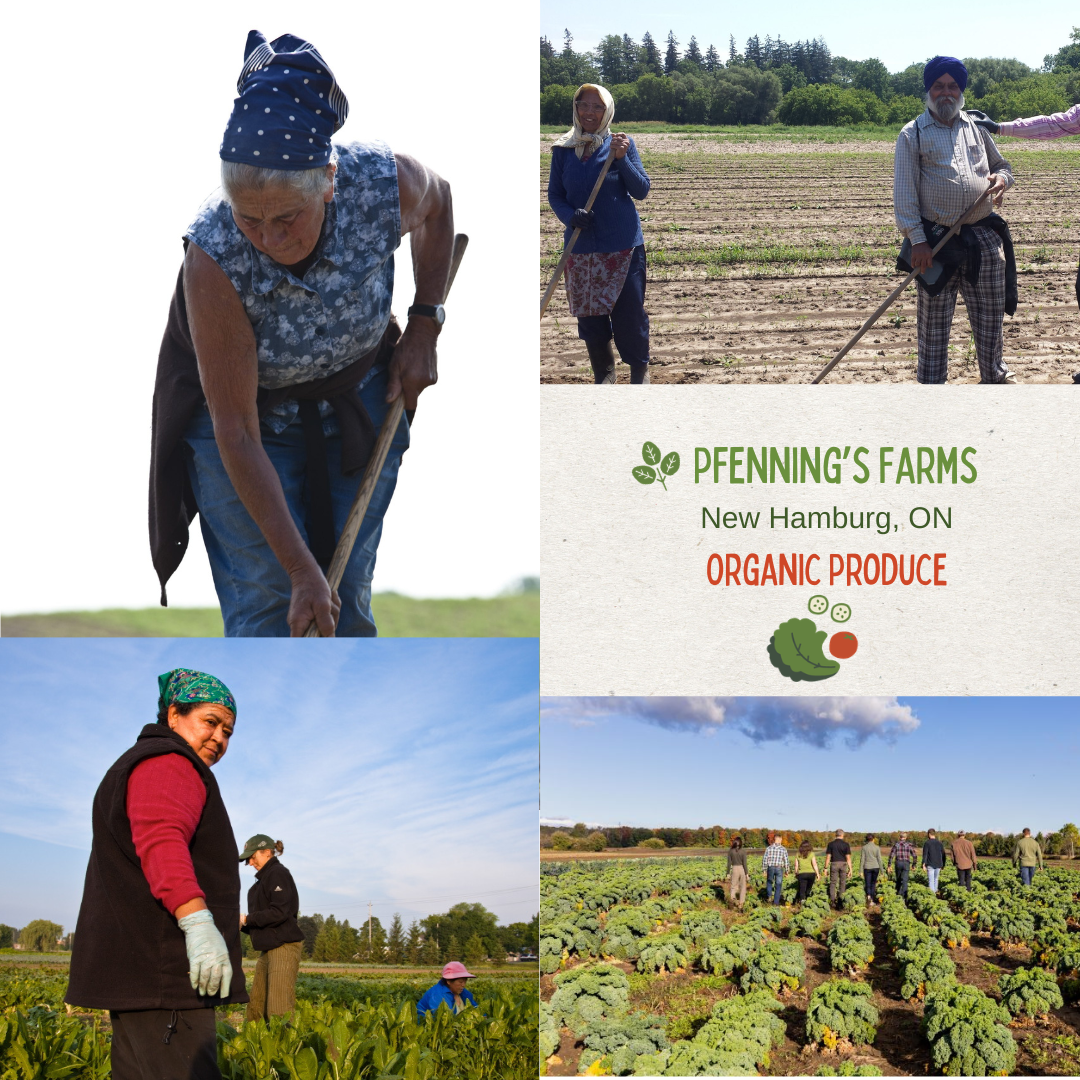 Pfenning’s Farms