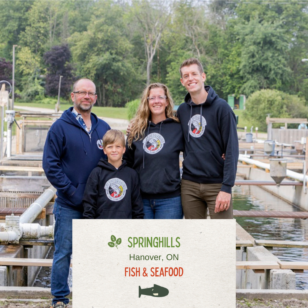 Springhills