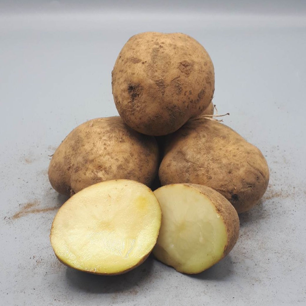 Potatoes, Onaway (BULK PRE-ORDER)