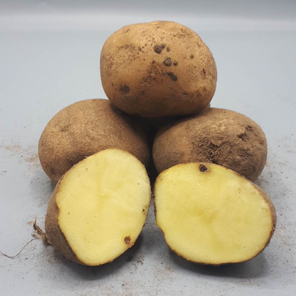 Potatoes, Keuka Gold (BULK PRE-ORDER)