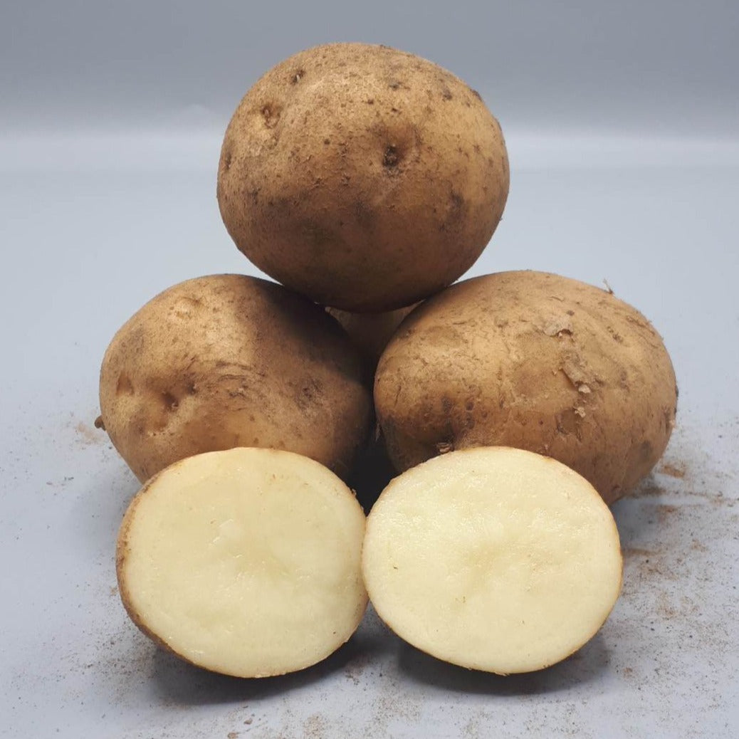 Potatoes, Chaleur (BULK PRE-ORDER)