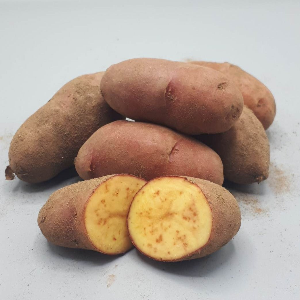 Potatoes, French Fingerling (BULK PRE-ORDER)