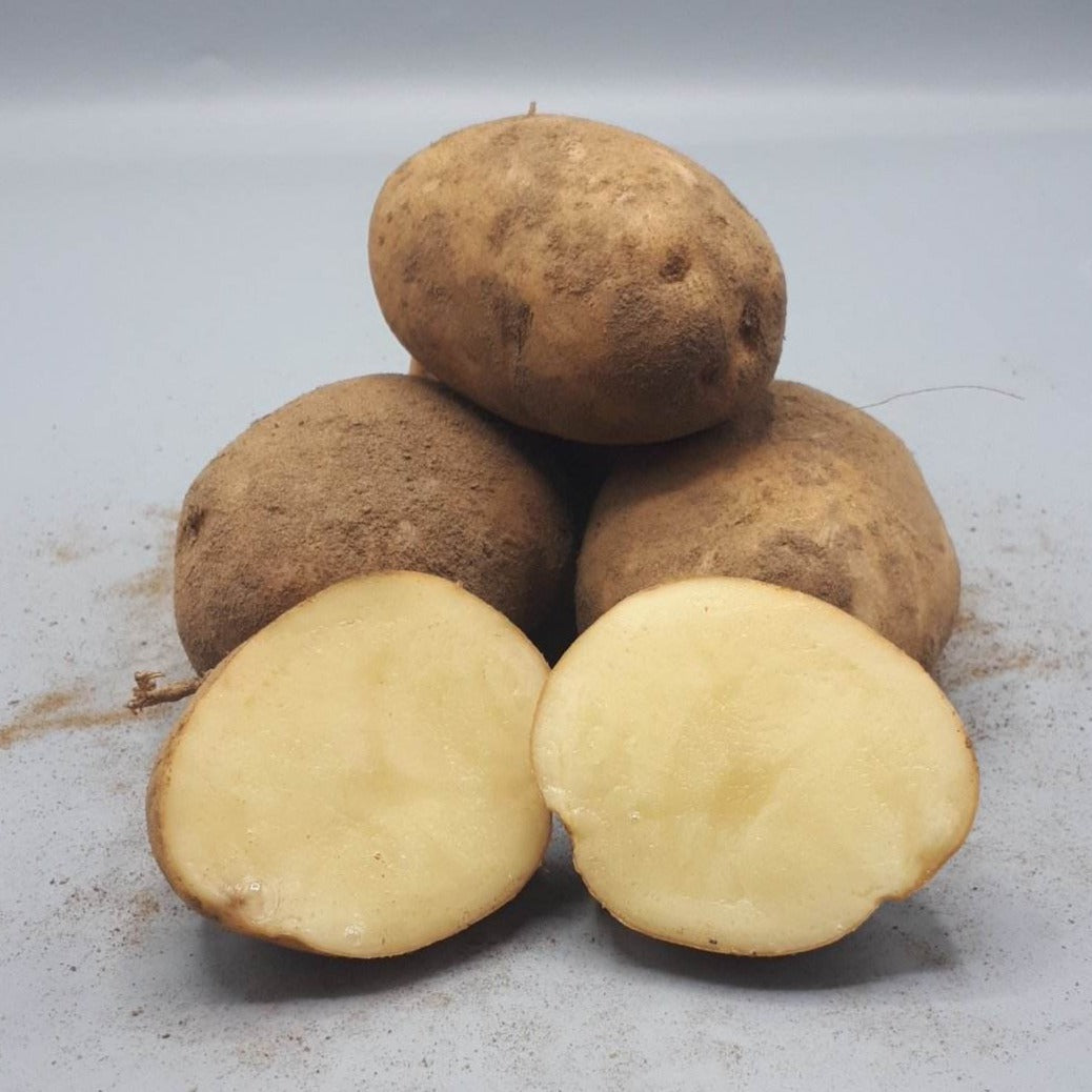 Potatoes, Fianna (BULK PRE-ORDER)