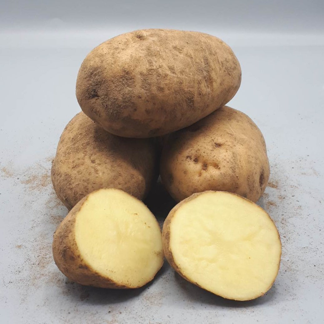 Potatoes, Maris Peer (BULK PRE-ORDER)