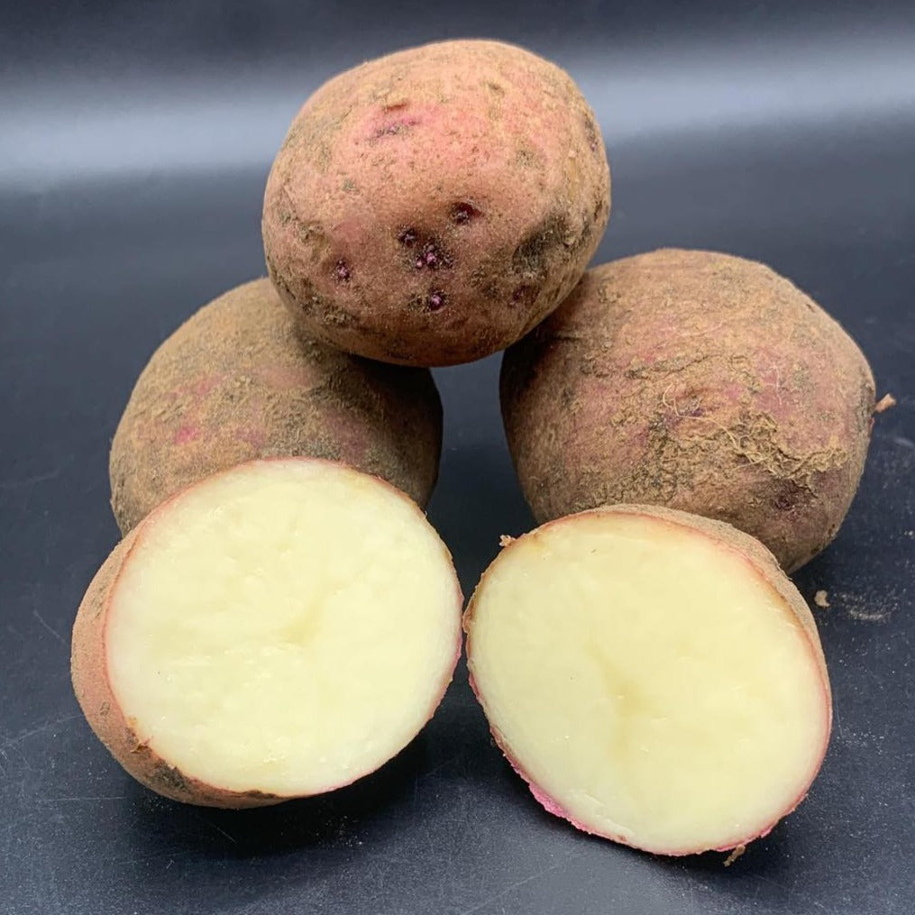 Potatoes, Norland (BULK PRE-ORDER)