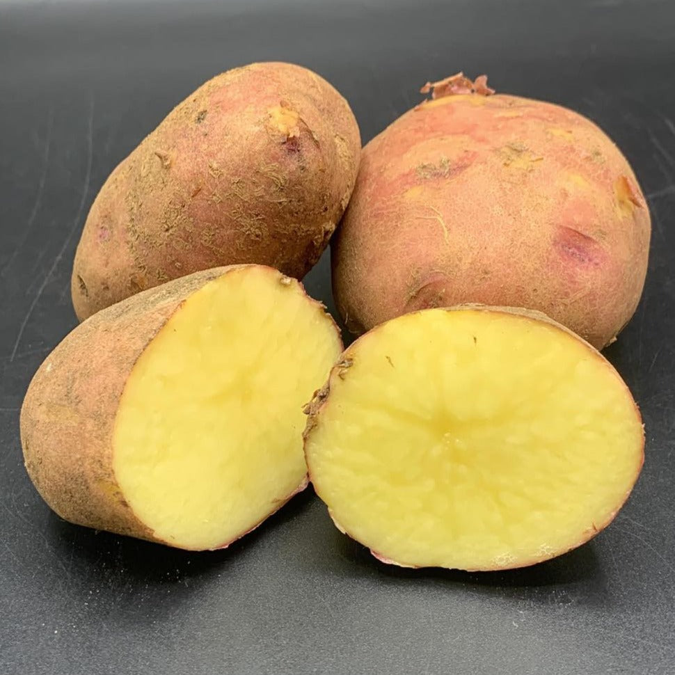 Potatoes, Ruby Gold (BULK PRE-ORDER)