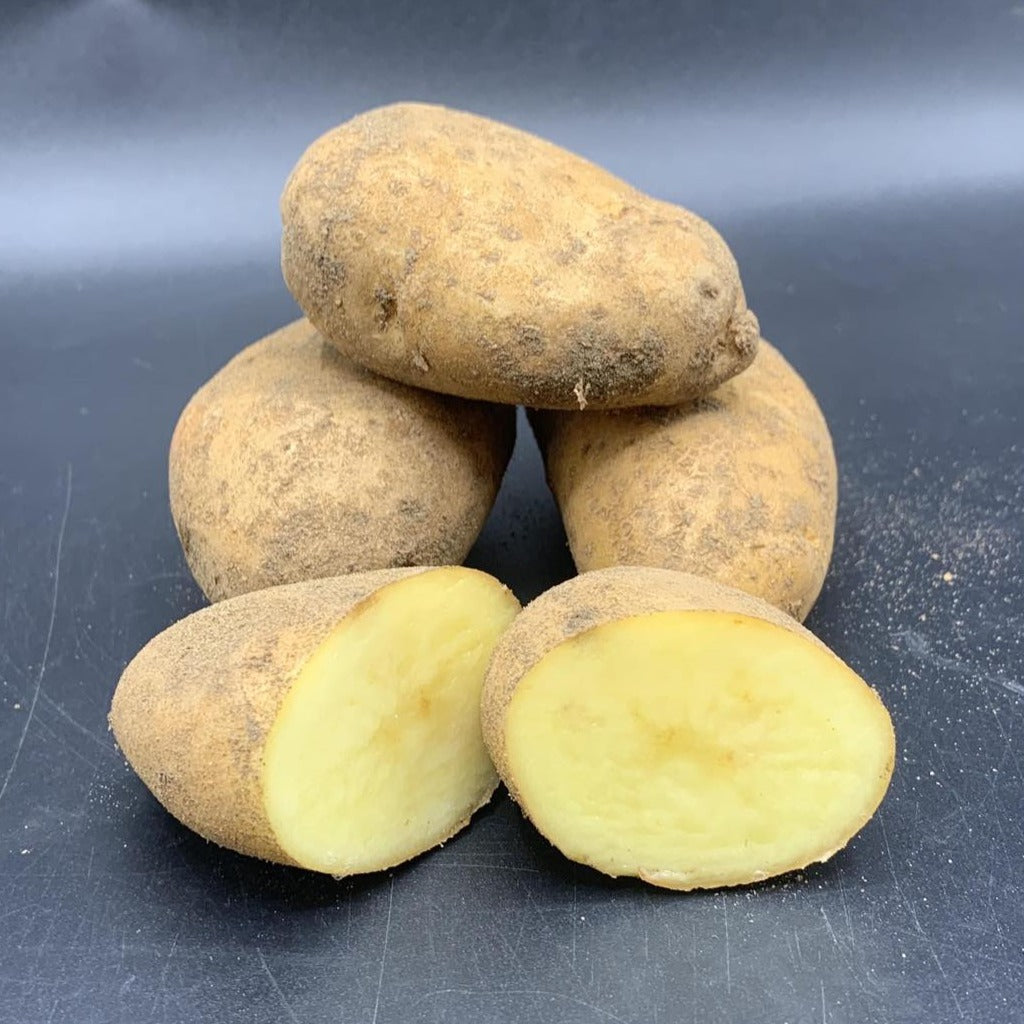 Potatoes, Rikea (BULK PRE-ORDER)
