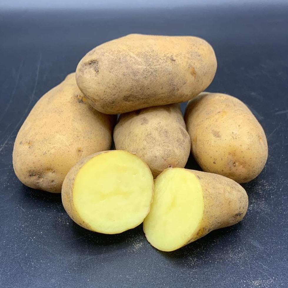Potatoes, Linzer Delikatess (BULK PRE-ORDER)