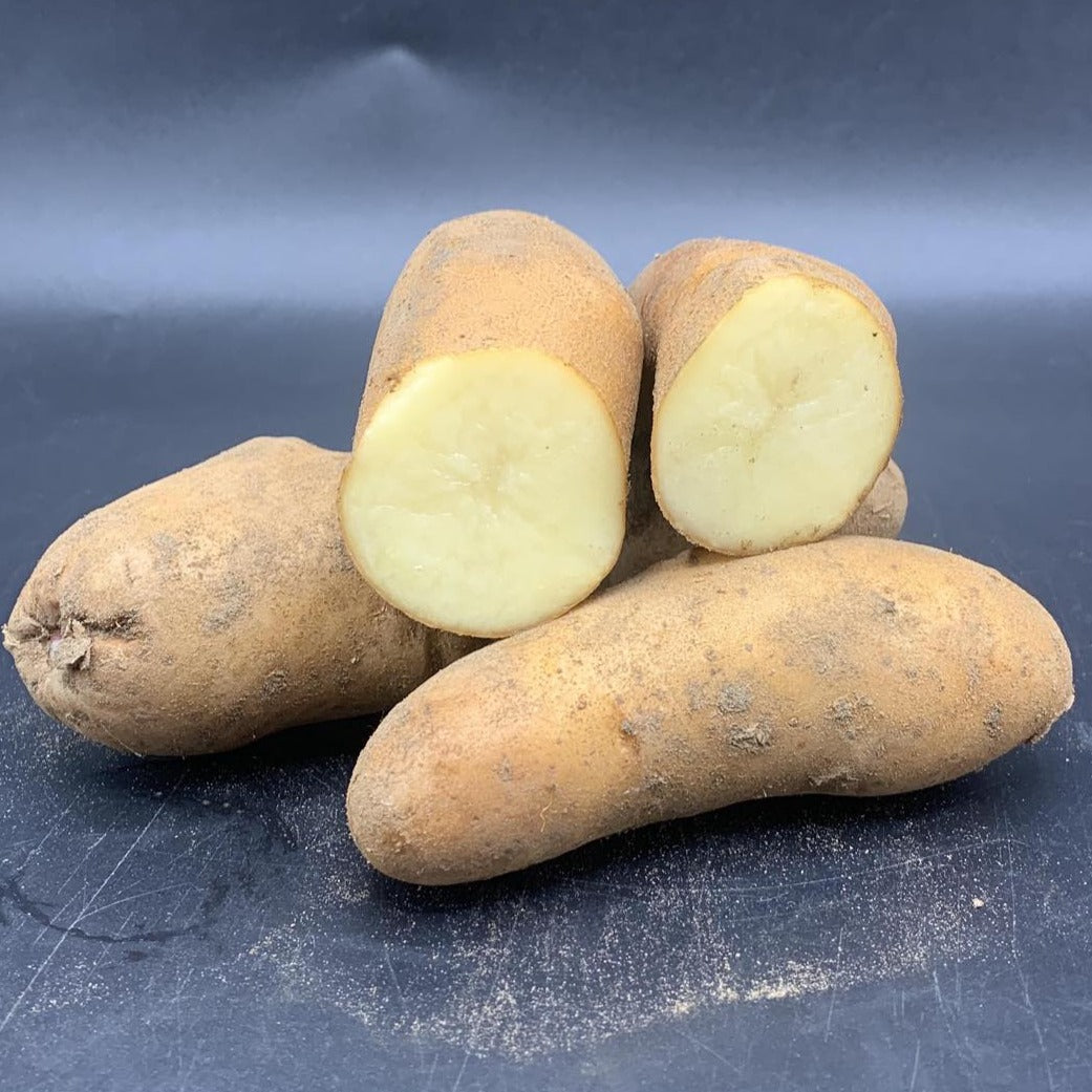 Potatoes, Snow Finger (BULK PRE-ORDER)