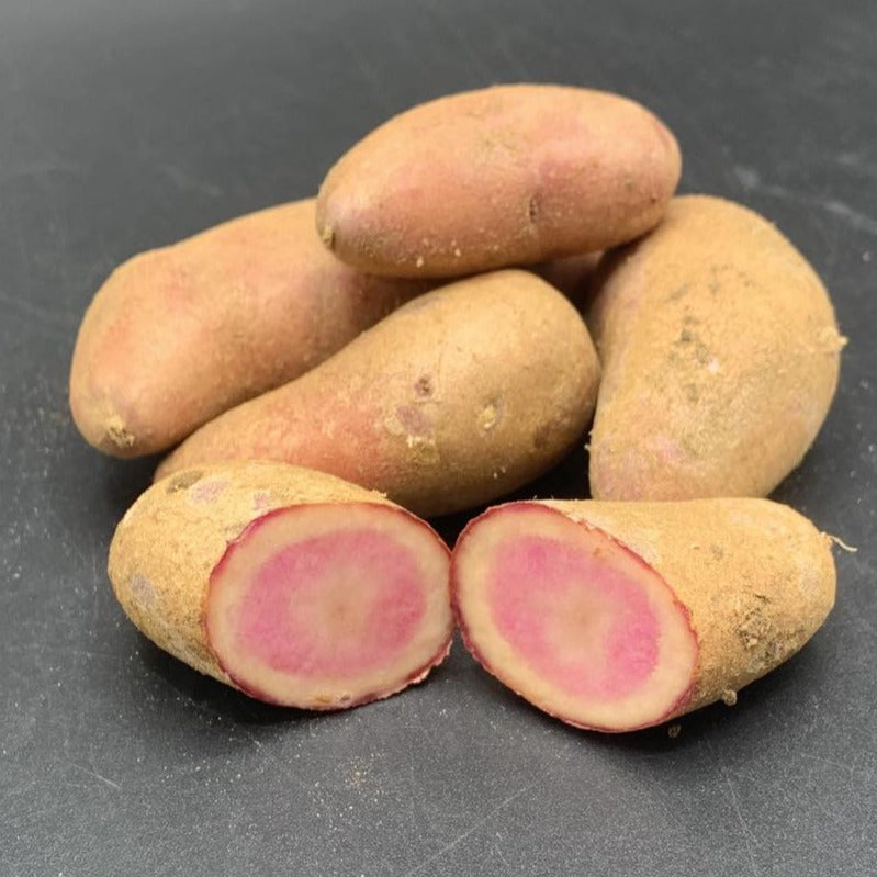 Potatoes, Rose Marie (BULK PRE-ORDER)