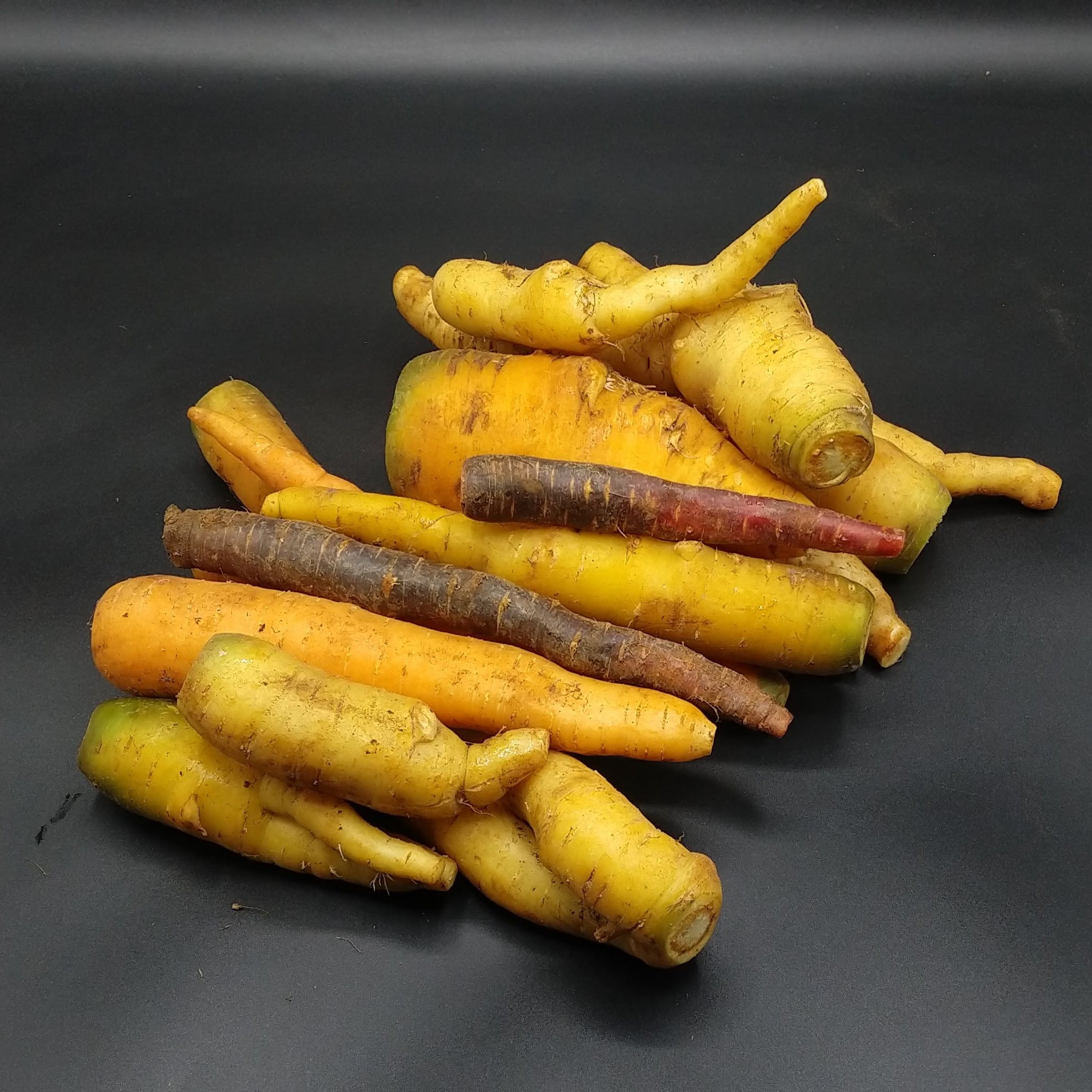 Carrots, Organic Rainbow 10 lb (BULK PRE-ORDER)