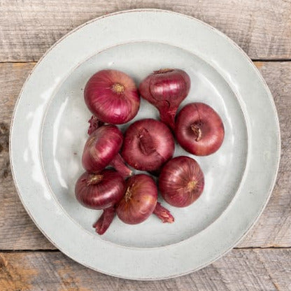 Onion, Red Cipollini Organic (approx. 454g)