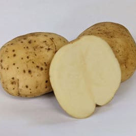 Potatoes, Envol (BULK PRE-ORDER)