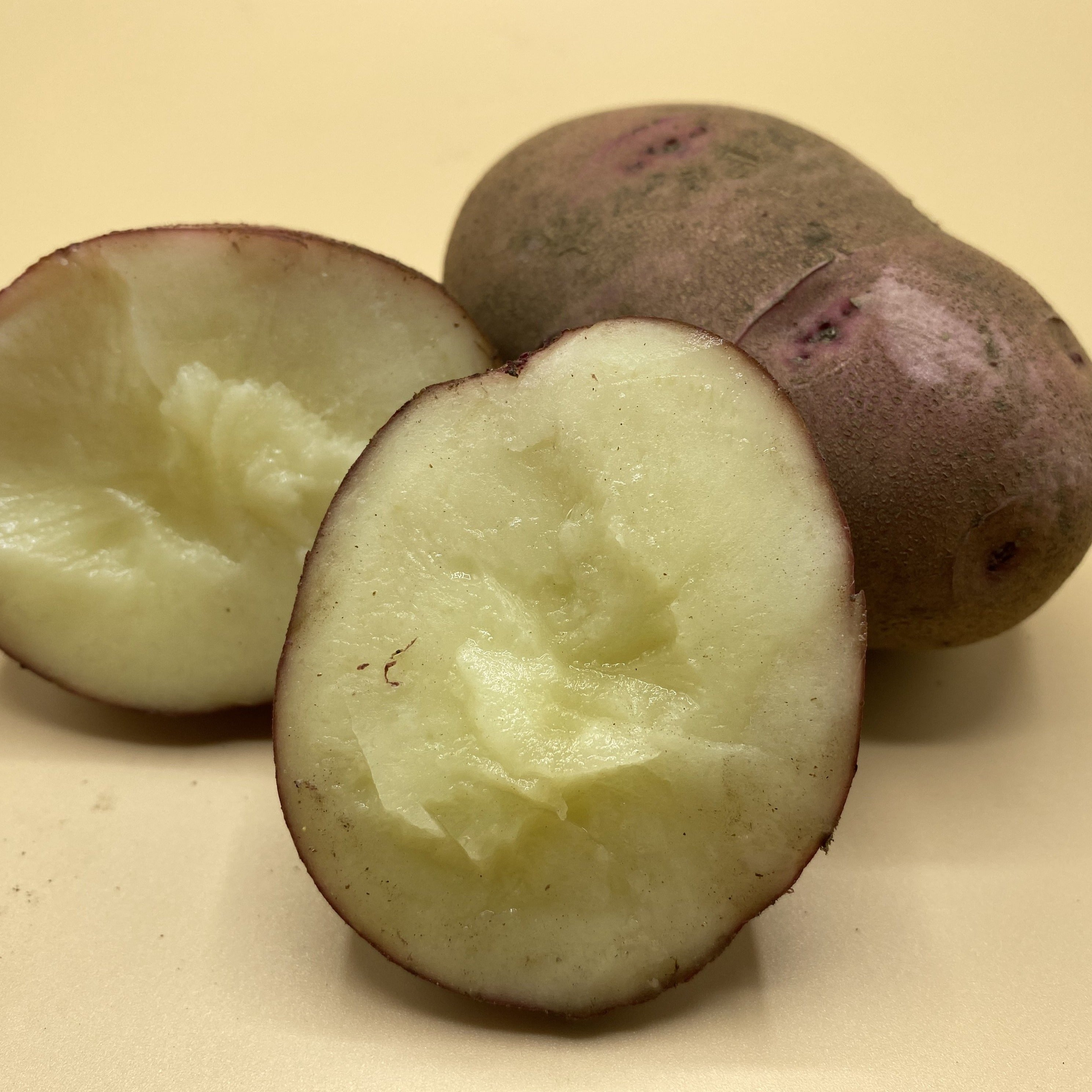 Potatoes, Red Chieftain (BULK PRE-ORDER)
