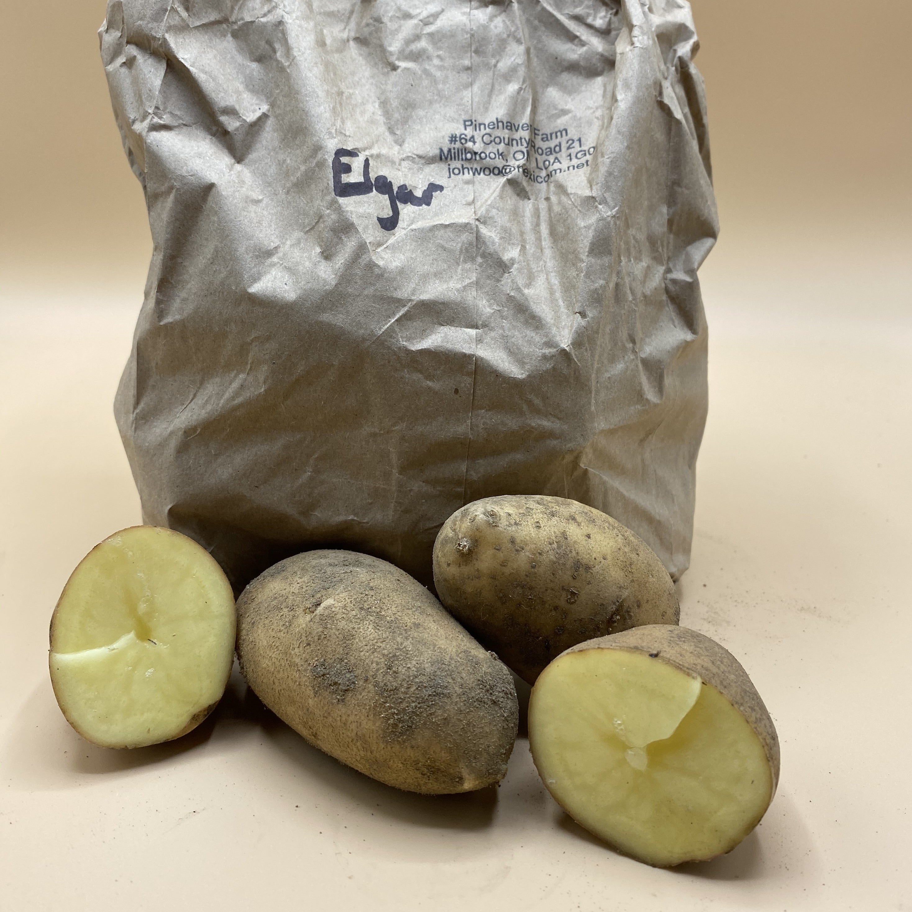 Potatoes, Elgar (BULK PRE-ORDER)