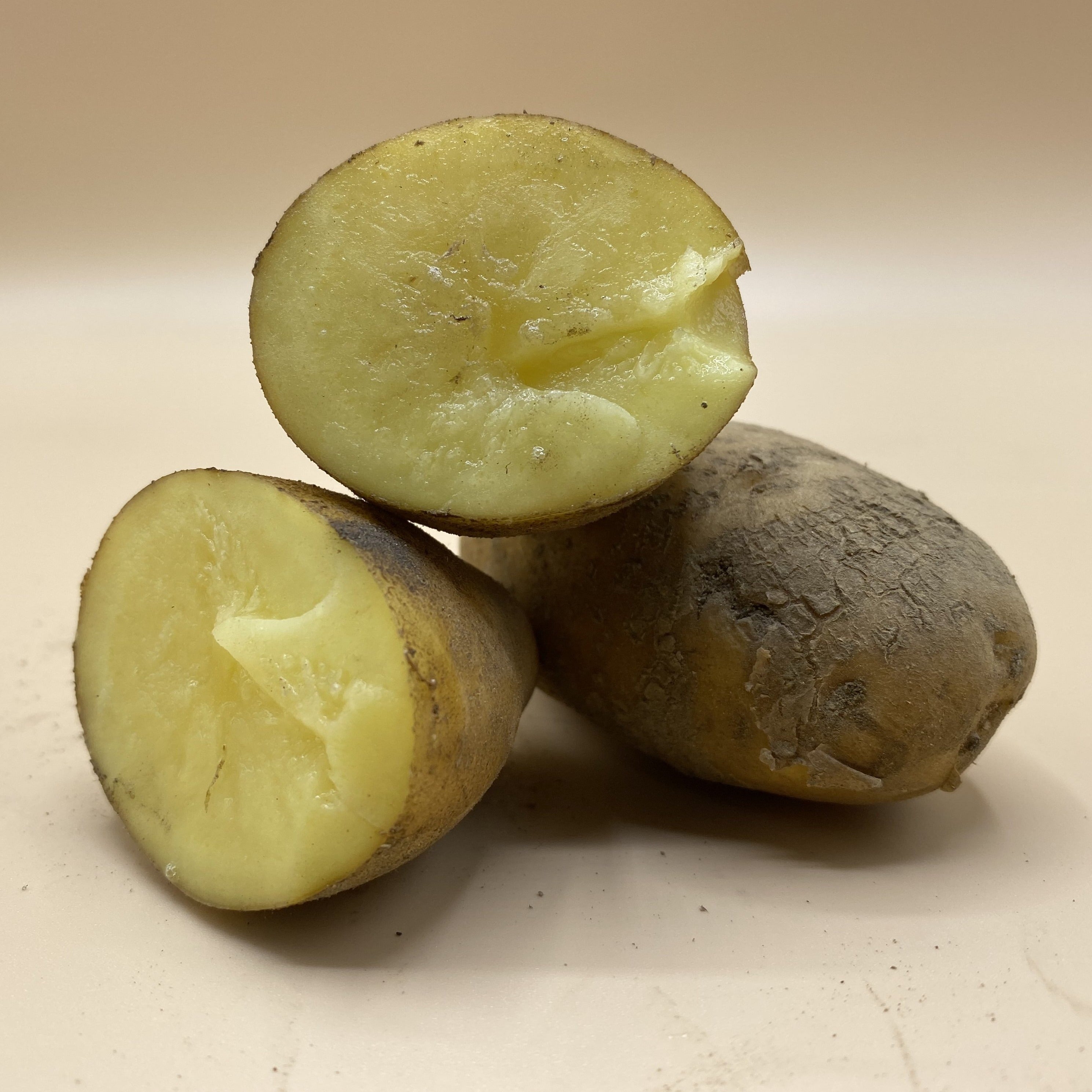 Potatoes, Nicola (BULK PRE-ORDER)