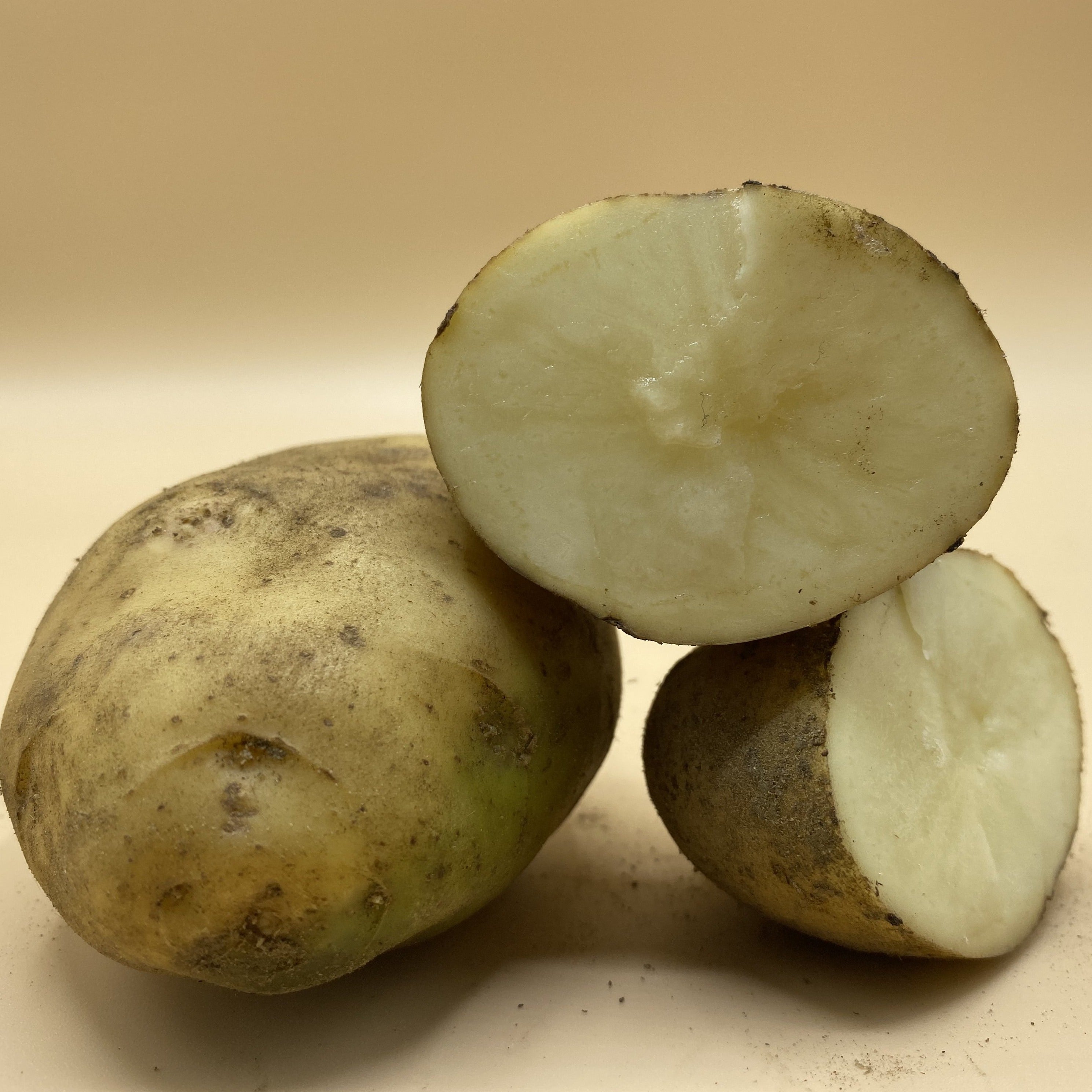 Potatoes, Sebago (BULK PRE-ORDER)