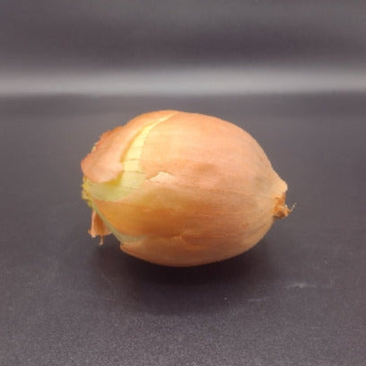 yellow onion