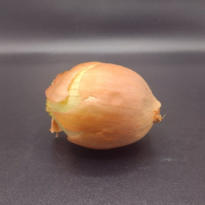 Onions, Organic Yellow (10 lb) BULK PRE-ORDER